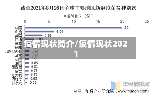 疫情现状简介/疫情现状2021