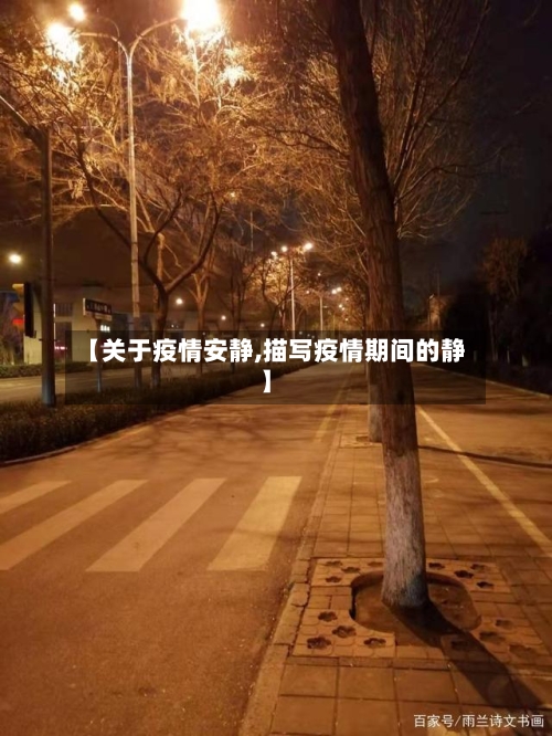 【关于疫情安静,描写疫情期间的静】