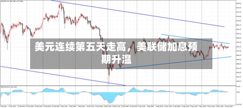 美元连续第五天走高，美联储加息预期升温
