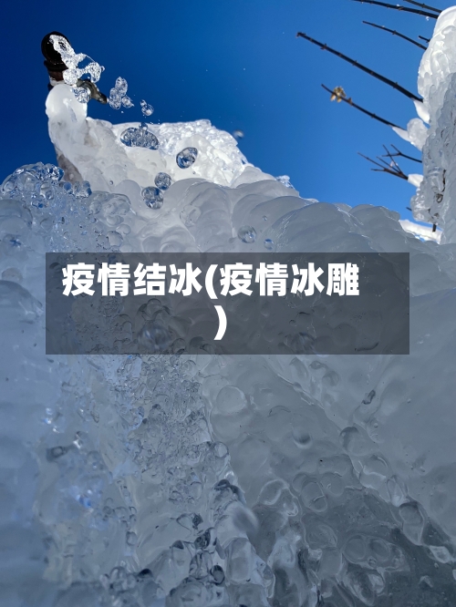 疫情结冰(疫情冰雕)