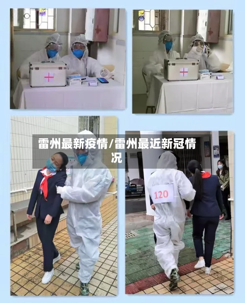 雷州最新疫情/雷州最近新冠情况