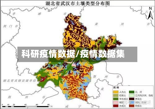 科研疫情数据/疫情数据集