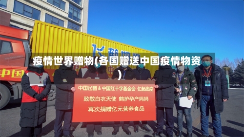 疫情世界赠物(各国赠送中国疫情物资)