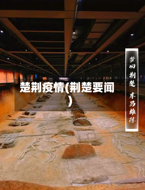 楚荆疫情(荆楚要闻)