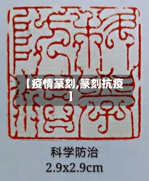 【疫情篆刻,篆刻抗疫】