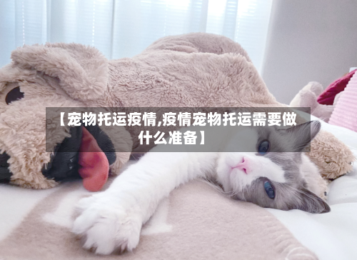 【宠物托运疫情,疫情宠物托运需要做什么准备】
