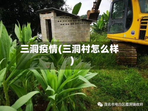三洞疫情(三洞村怎么样)
