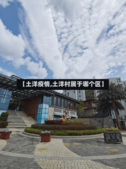 【土洋疫情,土洋村属于哪个区】