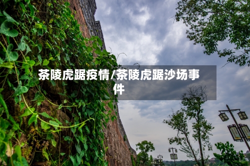茶陵虎踞疫情/茶陵虎踞沙场事件