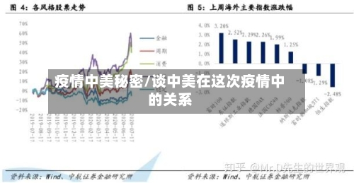 疫情中美秘密/谈中美在这次疫情中的关系