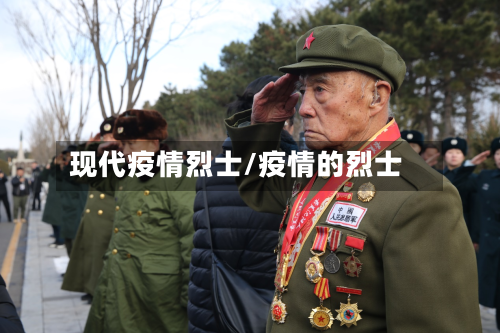 现代疫情烈士/疫情的烈士