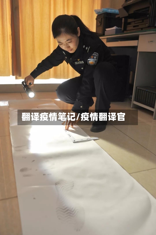 翻译疫情笔记/疫情翻译官