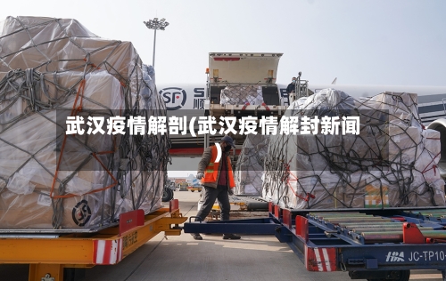 武汉疫情解剖(武汉疫情解封新闻)