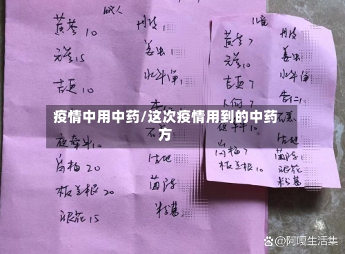 疫情中用中药/这次疫情用到的中药方
