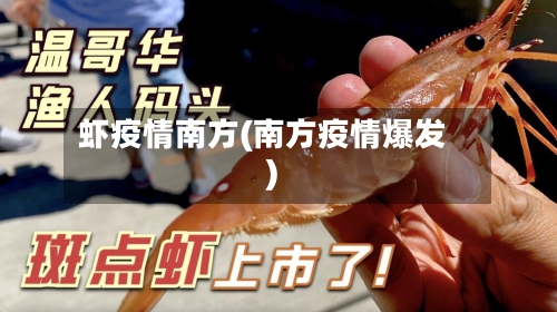 虾疫情南方(南方疫情爆发)