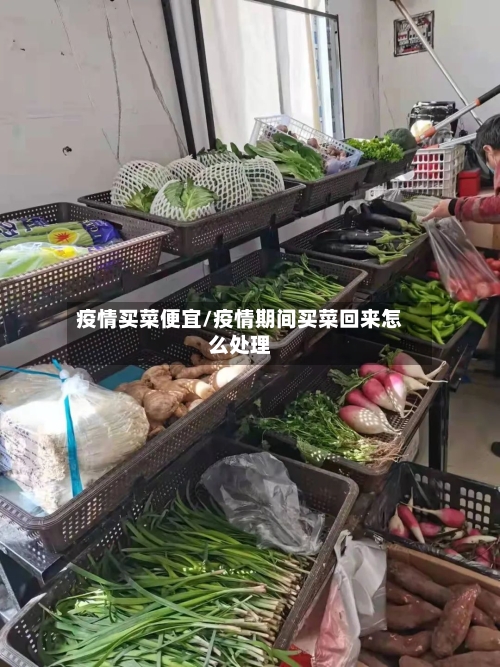 疫情买菜便宜/疫情期间买菜回来怎么处理