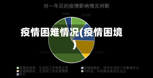 疫情困难情况(疫情困境)