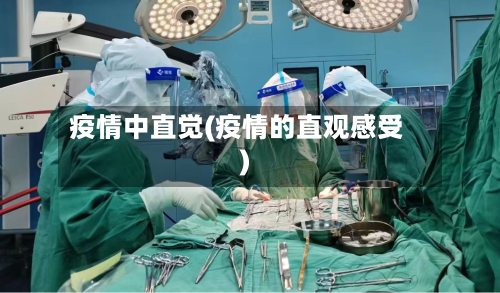 疫情中直觉(疫情的直观感受)