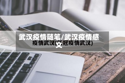 武汉疫情随笔/武汉疫情感文