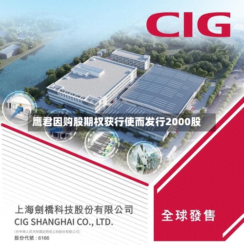 鹰君因购股期权获行使而发行2000股