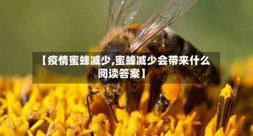 【疫情蜜蜂减少,蜜蜂减少会带来什么阅读答案】