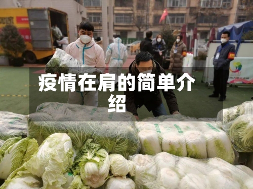 疫情在肩的简单介绍