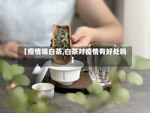 【疫情喝白茶,白茶对疫情有好处吗】