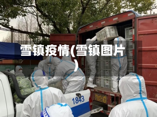 雪镇疫情(雪镇图片)