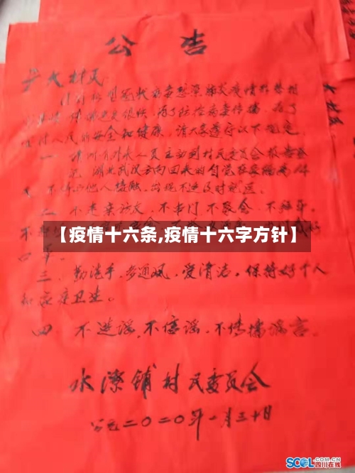 【疫情十六条,疫情十六字方针】