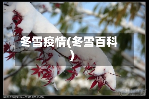 冬雪疫情(冬雪百科)