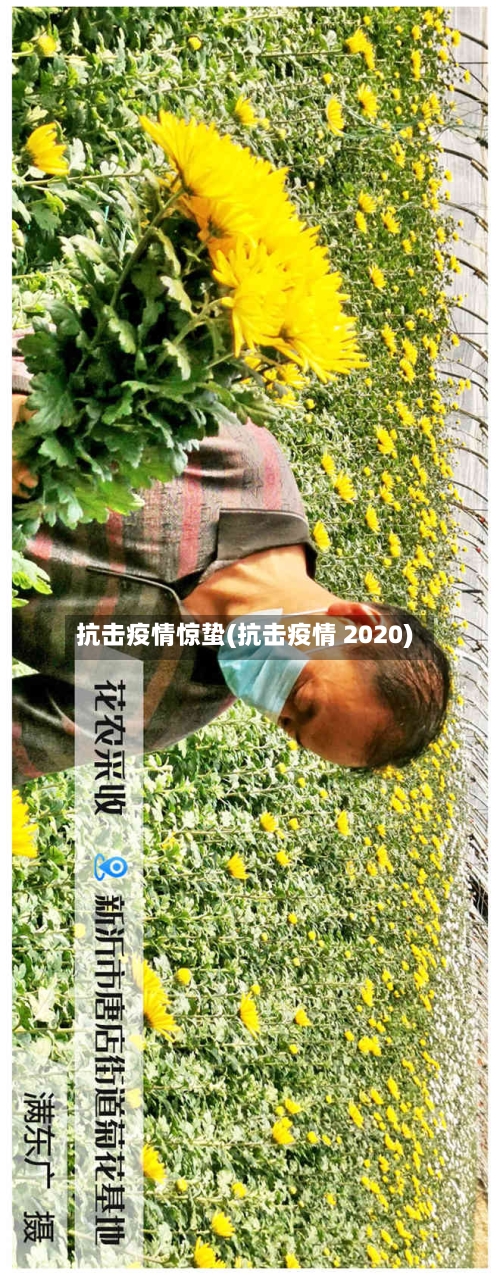 抗击疫情惊蛰(抗击疫情 2020)