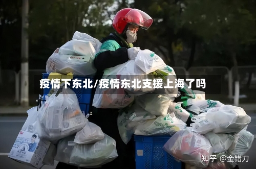 疫情下东北/疫情东北支援上海了吗