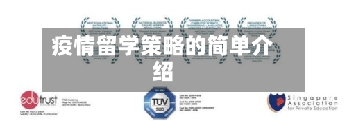 疫情留学策略的简单介绍