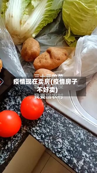 疫情现在卖房(疫情房子不好卖)