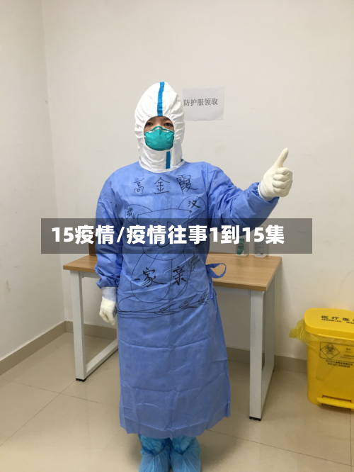 15疫情/疫情往事1到15集