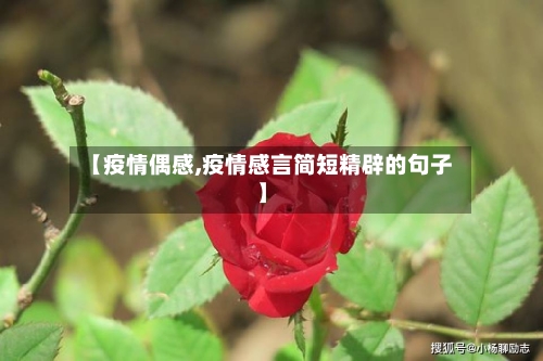 【疫情偶感,疫情感言简短精辟的句子】