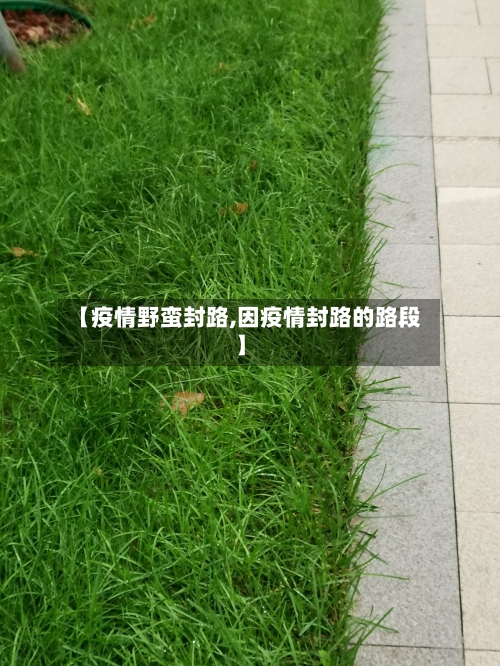 【疫情野蛮封路,因疫情封路的路段】