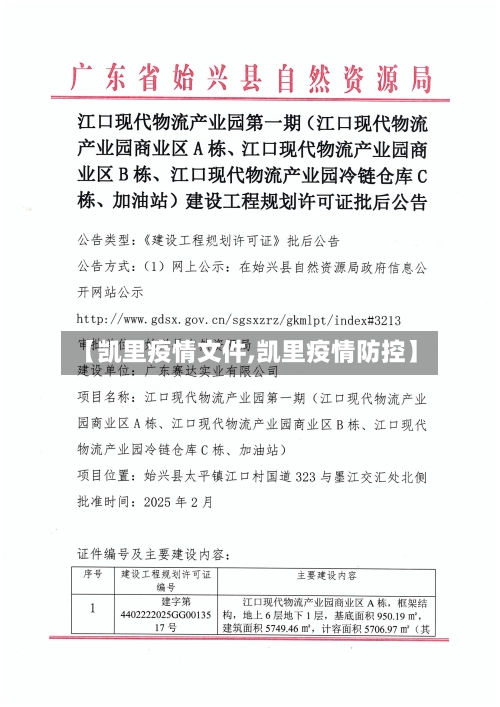 【凯里疫情文件,凯里疫情防控】