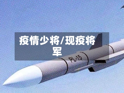 疫情少将/现疫将军