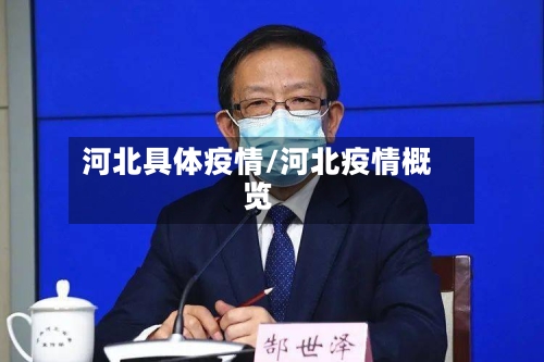 河北具体疫情/河北疫情概览