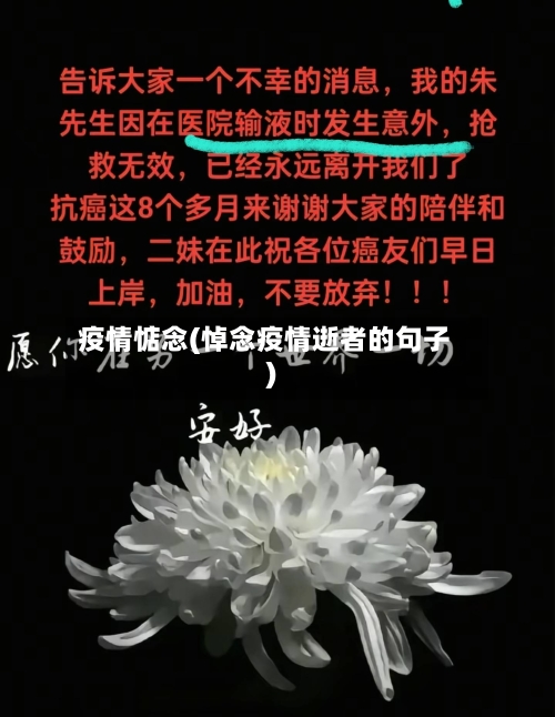 疫情惦念(悼念疫情逝者的句子)