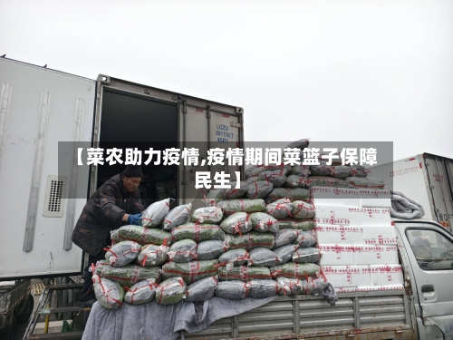 【菜农助力疫情,疫情期间菜篮子保障民生】