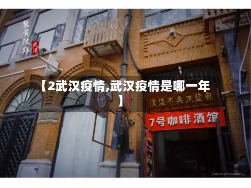 【2武汉疫情,武汉疫情是哪一年】