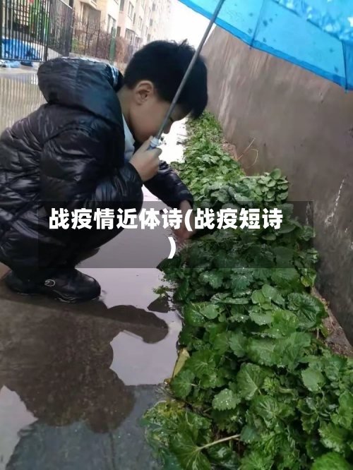 战疫情近体诗(战疫短诗)