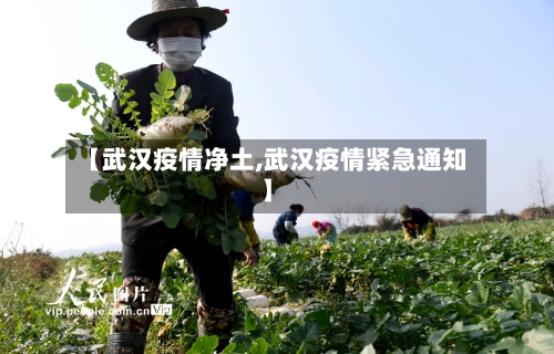 【武汉疫情净土,武汉疫情紧急通知】