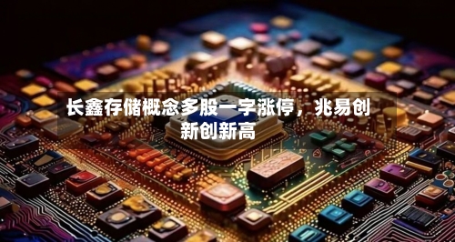 长鑫存储概念多股一字涨停，兆易创新创新高