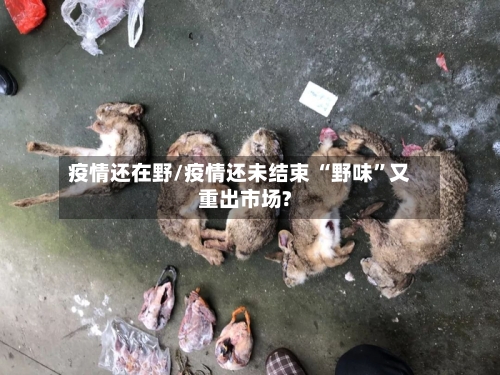 疫情还在野/疫情还未结束 “野味”又重出市场?