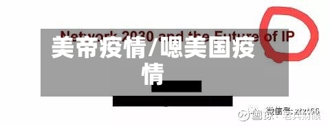 美帝疫情/嗯美国疫情