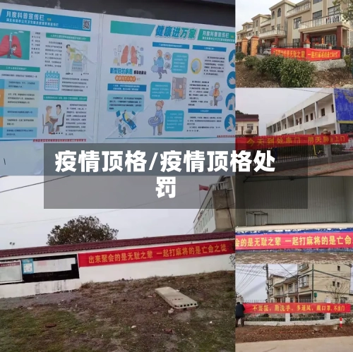 疫情顶格/疫情顶格处罚