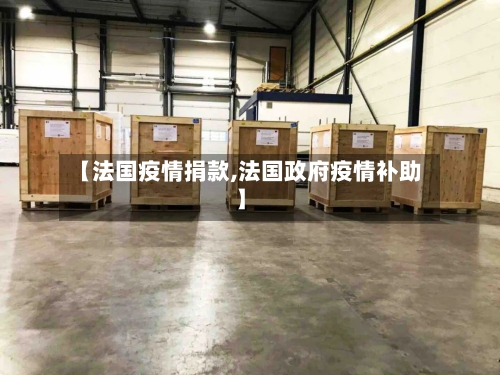 【法国疫情捐款,法国政府疫情补助】